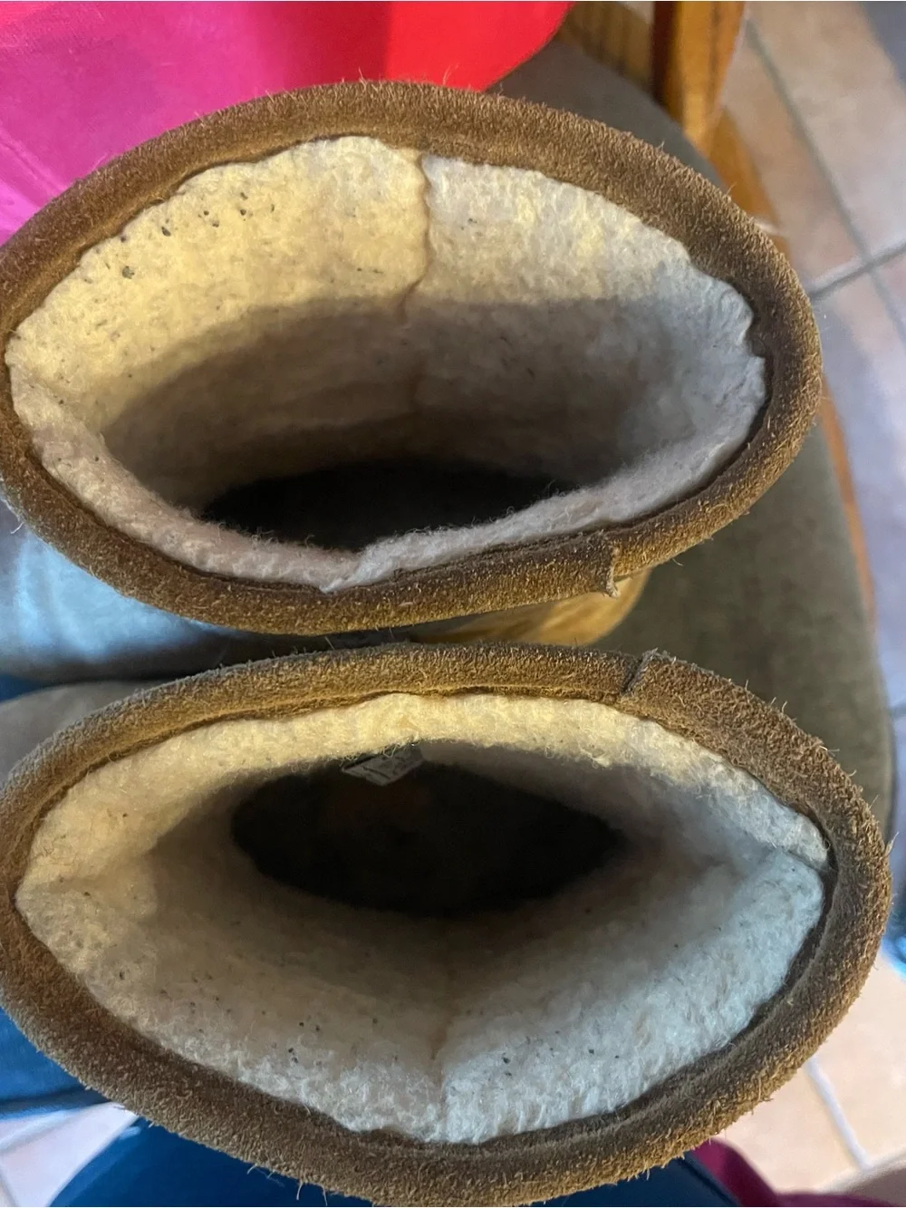 BearPaw great size